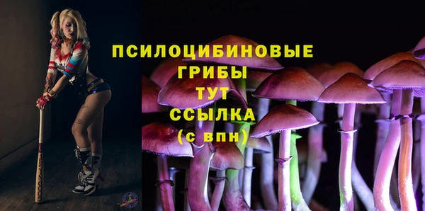 твердый Богородск