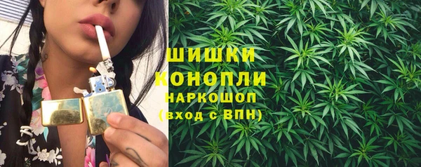 твердый Богородск