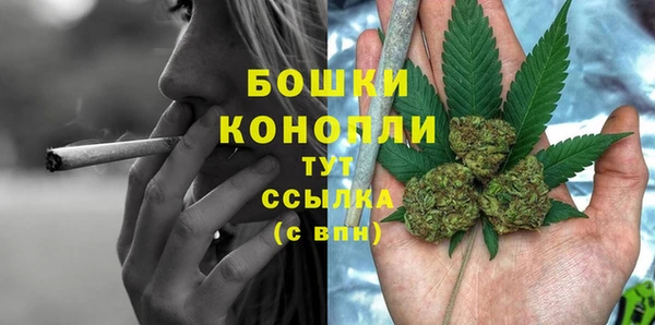 крисы Богданович