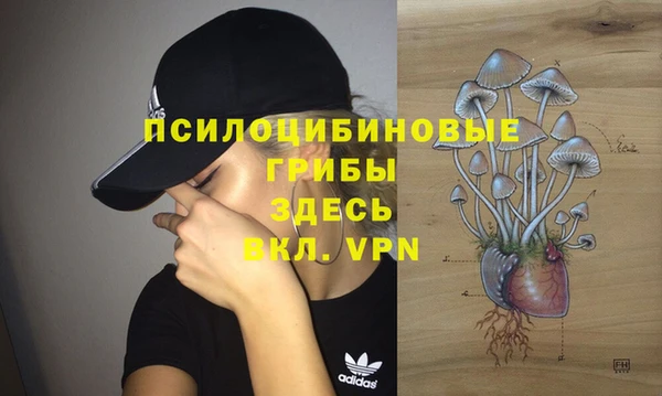 мяу мяу мука Белокуриха