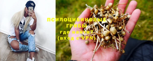 MDMA Богородицк