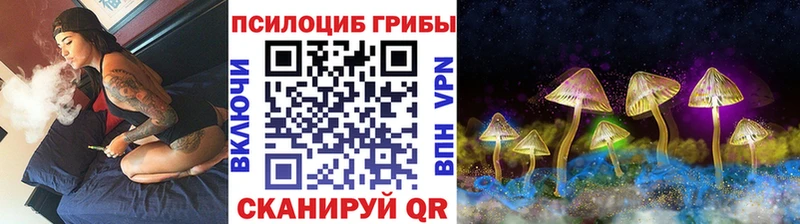 купить  сайты  Наро-Фоминск  Псилоцибиновые грибы Psilocybine cubensis 