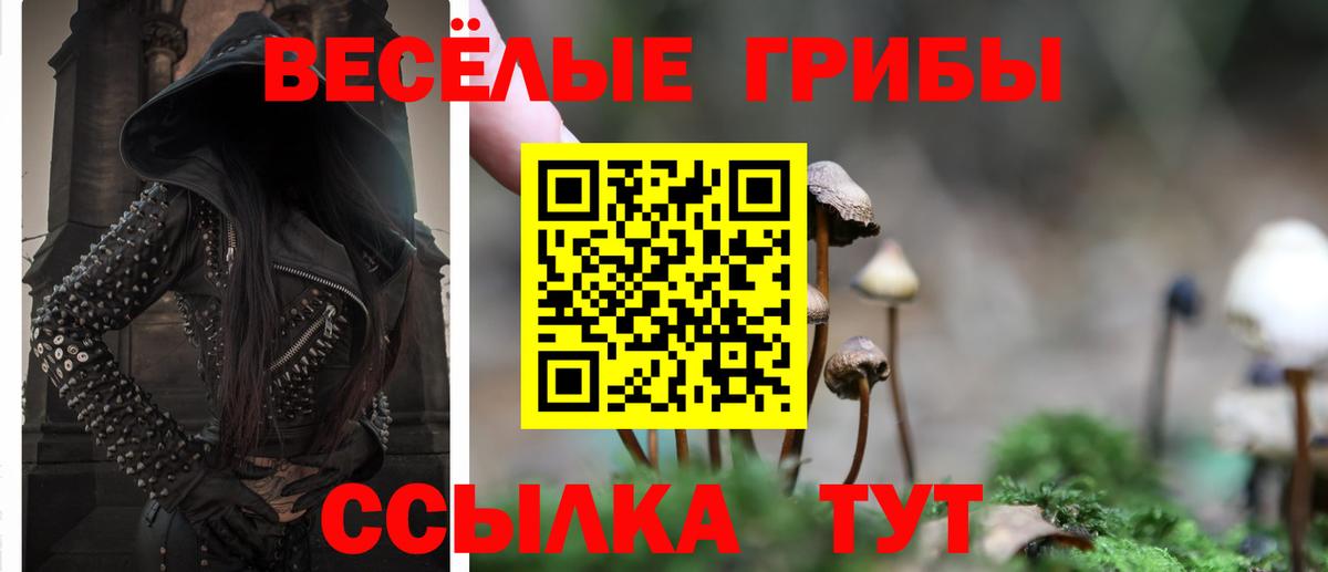 Псилоцибиновые грибы ЛСД Наро-Фоминск