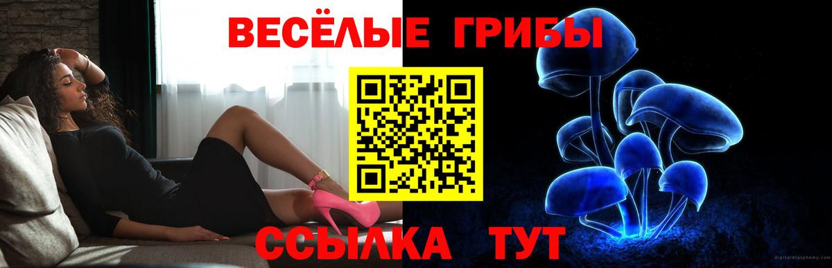Псилоцибиновые грибы MAGIC MUSHROOMS  Галлюциногенные грибы Magic Shrooms  Вход с VPN  Наро-Фоминск 